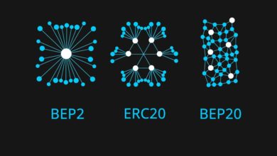bep2, bep20 and erc20