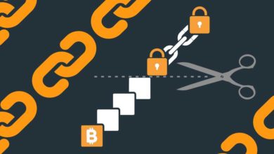 Bitcoin blockchain pruning