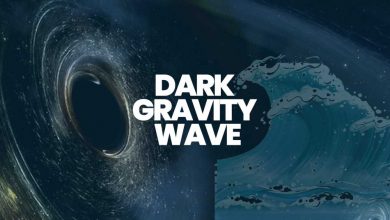 Dark Gravity Wave