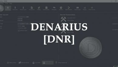 Denarius Coin