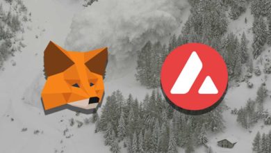 metamask avalanche