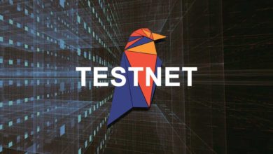 Raven coin Testnet