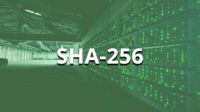 sha-256 algorithm coins