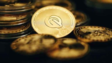 trump memecoin copycats