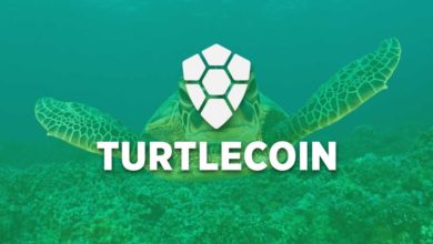 Turtle coin
