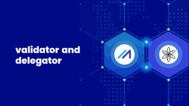 validator delegator