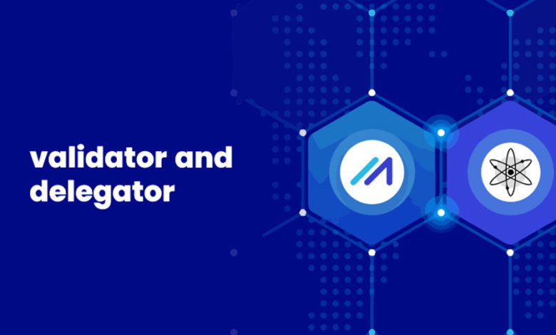 validator delegator