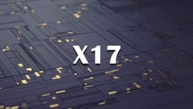 X17 Algorithm