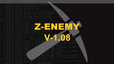 zealot/enemy-1.08