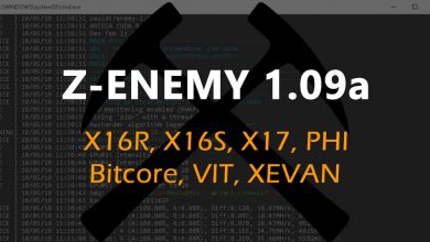 Z-Enemy 1.09a